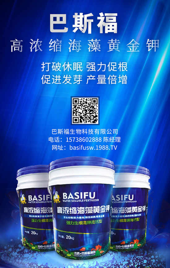 玉米施肥的更佳時(shí)間是啥時(shí)候？ 咋樣施效果好？