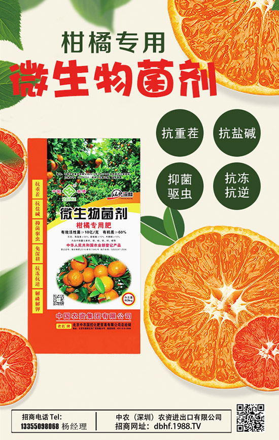     2020山藥價格多少錢一斤？種植前景如何？山藥種植高產(chǎn)管理技術！