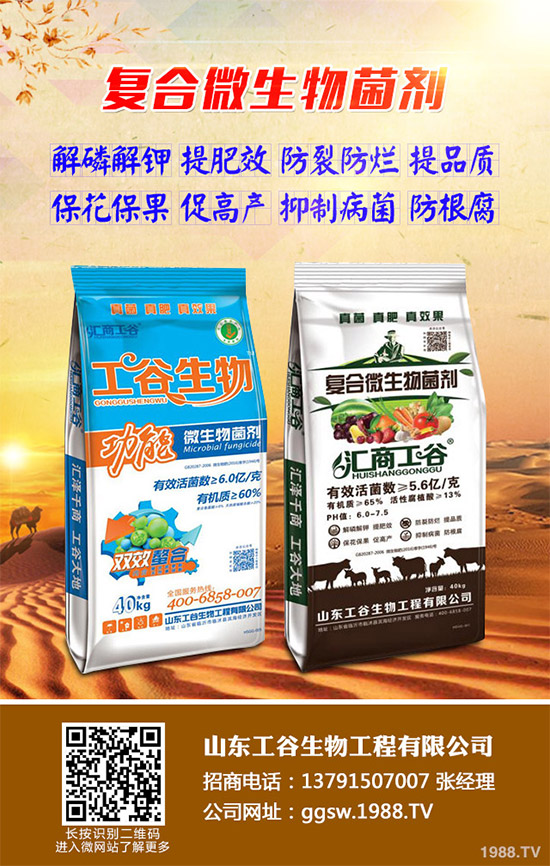 茼蒿什么時(shí)候種植比較好？該如何種植？茼蒿的種植時(shí)間及種植技術(shù)