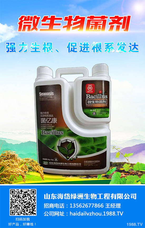 茼蒿該施什么肥料？如何施肥？聊聊茼蒿施肥那些事兒！
