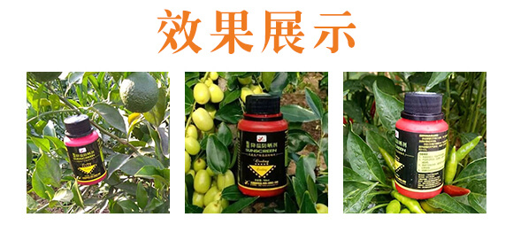 ���ط���-꿾�_06