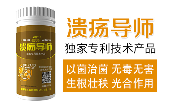 ��������-(li��n)��μ�_02