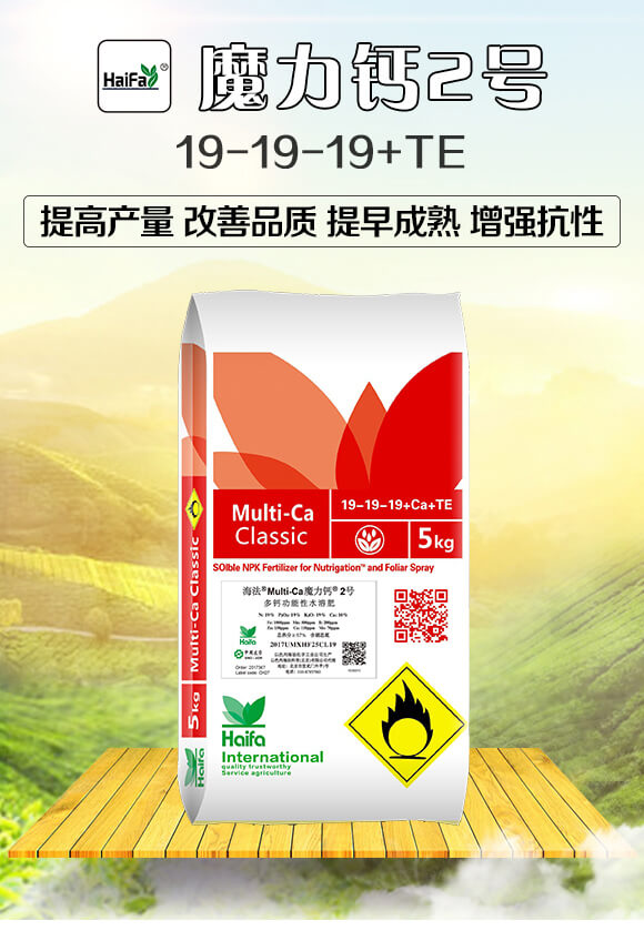 �๦����ˮ�ܷ�19-19-19+TE-ħ���}2̖(h��o)-�������Q(m��o)_01