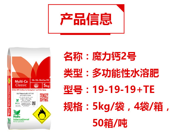 �๦����ˮ�ܷ�19-19-19+TE-ħ���}2̖(h��o)-�������Q(m��o)_02