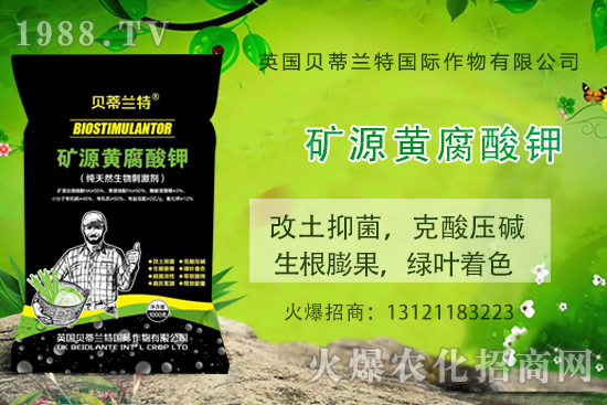 哈密瓜怎么種？哈密瓜種植應(yīng)該注意哪些事項(xiàng)？