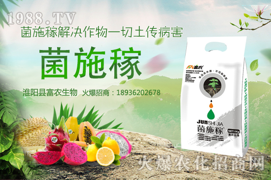 2020年農(nóng)村種野菜賺錢嗎？選擇哪些野菜品種效益高？建議收藏！