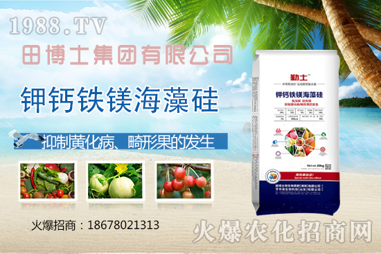 花生重茬會產(chǎn)生哪些影響？如何解決花生重茬問題？