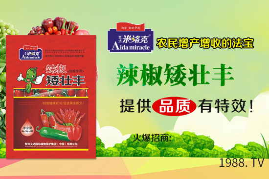 辣椒葉子卷曲由什么原因?qū)е??辣椒葉子卷曲防治措施!