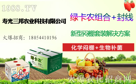 白菜多少錢一斤，一畝地產(chǎn)多少斤白菜，白菜種植前景及利潤(rùn)分析！