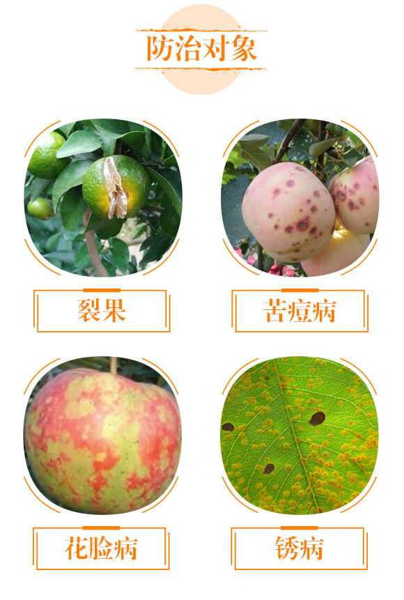 �����{�턩-�}���V-��ؐ��_04