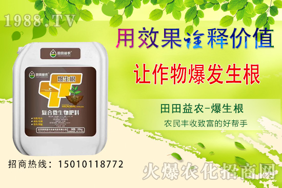 六月可以種植的蔬菜有哪些？六月種蔬菜管理要點(diǎn)！