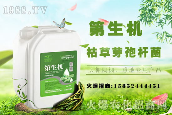 桃樹(shù)嫁接常用工具，桃樹(shù)嫁接后注意事項(xiàng)！