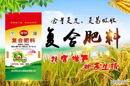 血橙有哪些營養(yǎng)價(jià)值？吃血橙有什么好處？