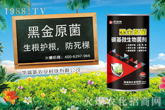     玉米什么時(shí)候成熟，玉米的收獲時(shí)期，玉米的營(yíng)養(yǎng)價(jià)值！