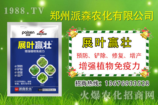 秋黃瓜什么時(shí)候種，秋黃瓜的種植時(shí)間及管理方法！