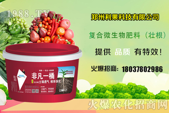 2020年種植辣椒賺錢嗎？種植前景如何？辣椒一畝地產(chǎn)量有多少？