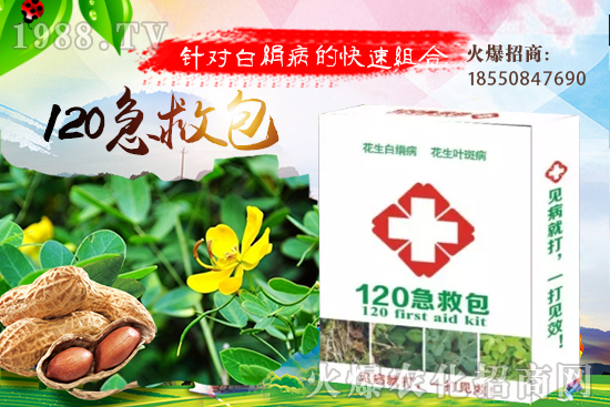 慈姑育苗方法有哪些？慈菇怎么移栽定植？