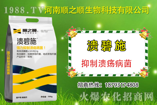 柑橘潰瘍病危害一年比一年嚴(yán)重，柑橘潰瘍病如何防控？