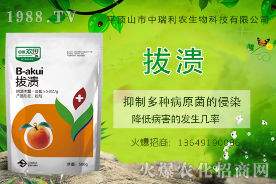 柑橘潰瘍病危害一年比一年嚴(yán)重，柑橘潰瘍病如何防控？