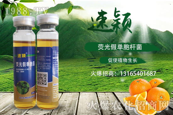 柑橘潰瘍病危害一年比一年嚴(yán)重，柑橘潰瘍病如何防控？