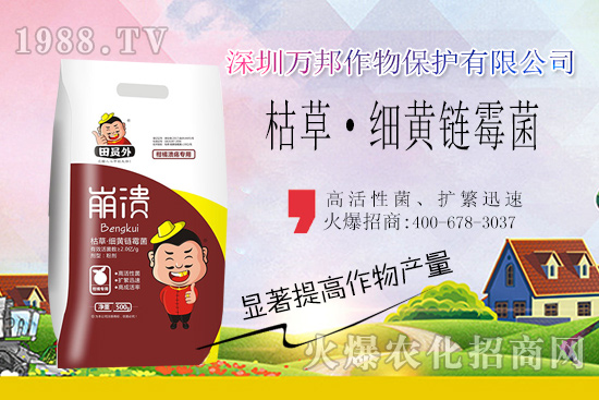 柑橘潰瘍病危害一年比一年嚴(yán)重，柑橘潰瘍病如何防控？