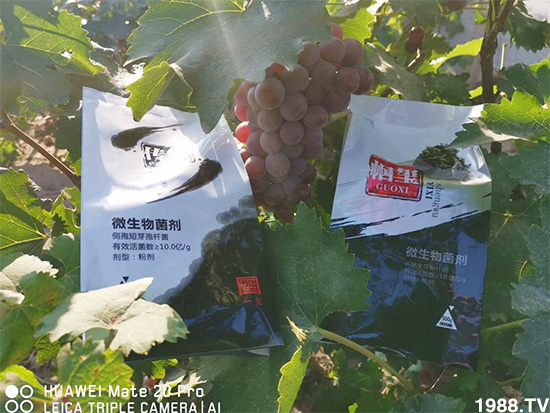 好產(chǎn)品好作用，“一璽生物”微生物菌劑“幗璽”客戶真實(shí)反饋！