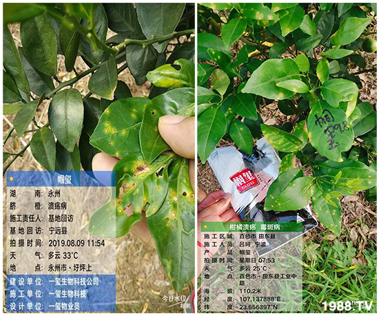 好產(chǎn)品好作用，“一璽生物”微生物菌劑“幗璽”客戶真實(shí)反饋！