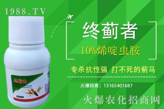 10%烯啶蟲胺能打薊馬嗎？有什么特點？10%烯啶蟲胺使用注意事項！