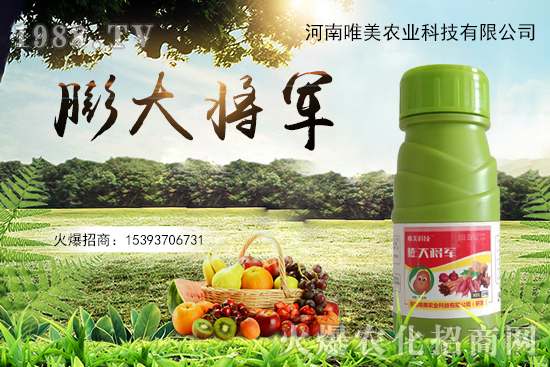 果實(shí)膨果慢、果實(shí)小怎么解決？果實(shí)膨果肥的選擇有哪些？