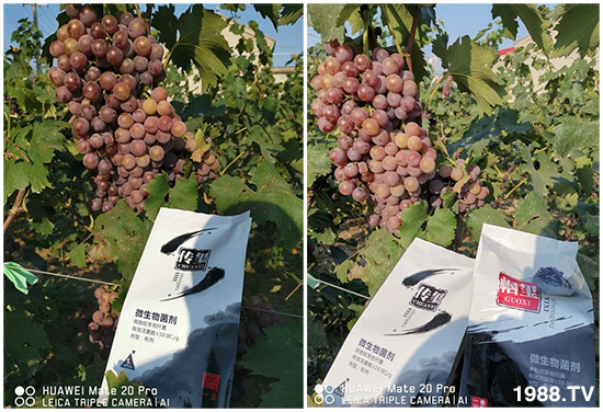 好產(chǎn)品好作用，“一璽生物”微生物菌劑“幗璽”客戶真實(shí)反饋！