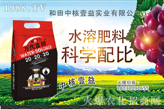 四季海棠多久澆一次水？四季海棠澆水過多怎么挽救？