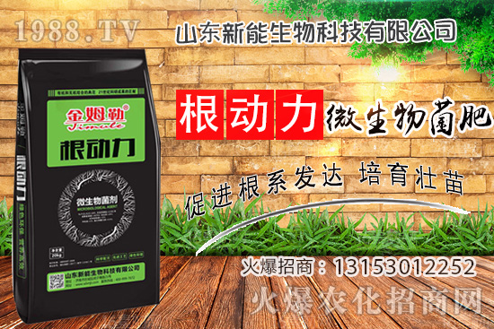 作物生根用什么肥？使用“微生物菌肥”有什么優(yōu)勢？