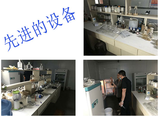 �O(sh��)�����M(j��n)