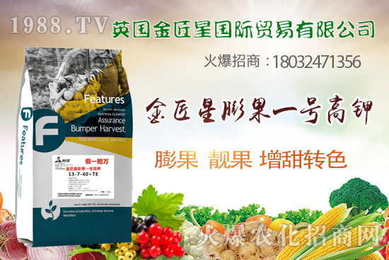 英國(guó)金匠星怎么樣？英國(guó)金匠星主營(yíng)哪些產(chǎn)品？