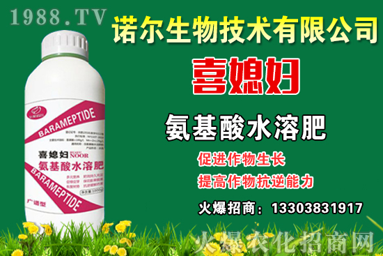 喜媳婦海報(bào)2