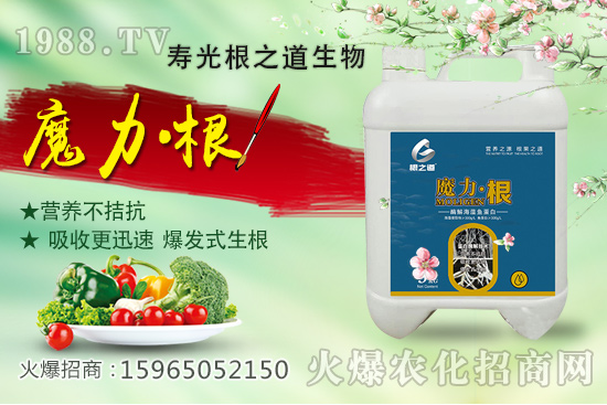 要想作物好，根系更重要！壽光根之道怎么樣？有哪些爆款產(chǎn)品？