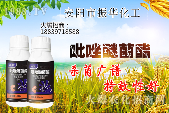 黃瓜白粉病危害有哪些，黃瓜白粉病怎么治？該打什么農(nóng)藥？