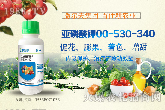 營(yíng)養(yǎng)控梢，預(yù)防潰瘍！亞磷酸鉀真的這么牛嗎？亞磷酸鉀作用原理！