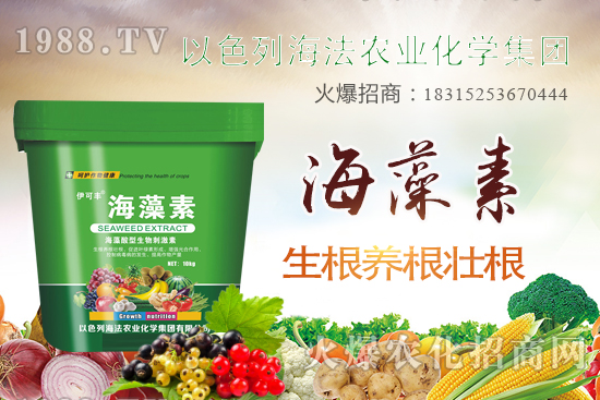 海法農(nóng)業(yè)為啥這么牛？海法農(nóng)業(yè)生產(chǎn)特色是什么？主打哪些產(chǎn)品？