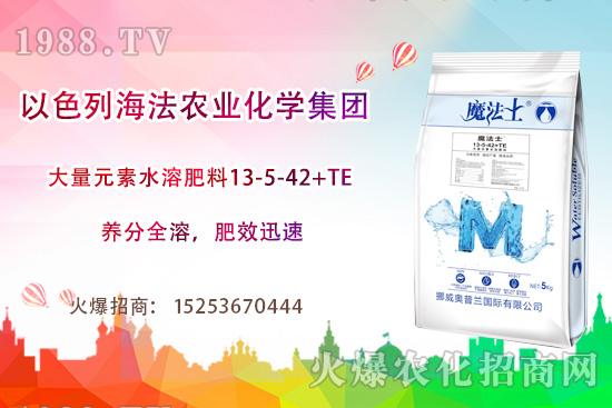 海法農(nóng)業(yè)為啥這么牛？海法農(nóng)業(yè)生產(chǎn)特色是什么？主打哪些產(chǎn)品？