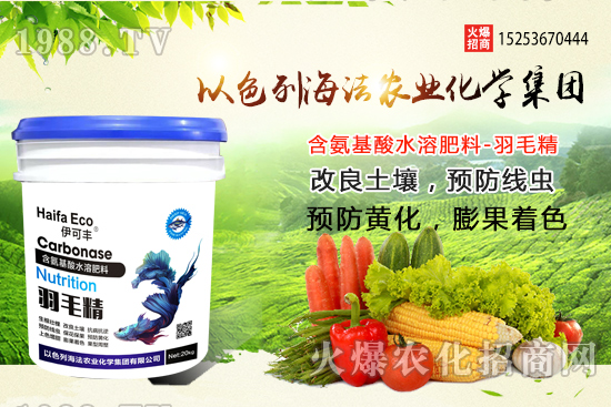 海法農(nóng)業(yè)為啥這么牛？海法農(nóng)業(yè)生產(chǎn)特色是什么？主打哪些產(chǎn)品？