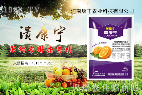 柑橘潰瘍病又到高發(fā)期，康豐農(nóng)業(yè)“潰康寧”防治效果怎么樣？