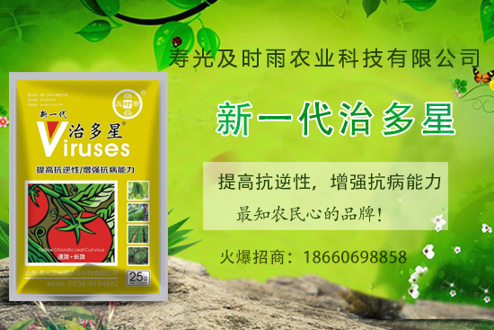 番茄病毒病你知道幾種？怎樣合理防治番茄病毒??？(內(nèi)附防治方法) 