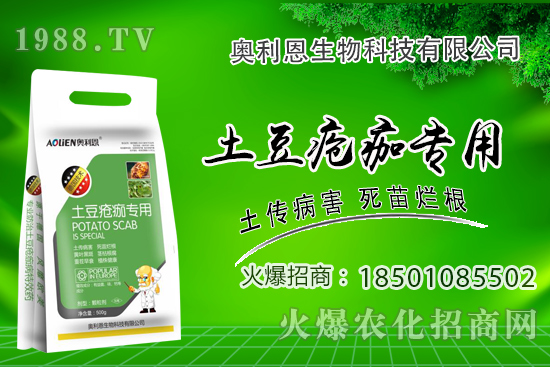 土豆瘡痂病什么癥狀？為什么難防治？土豆瘡痂病防治措施！