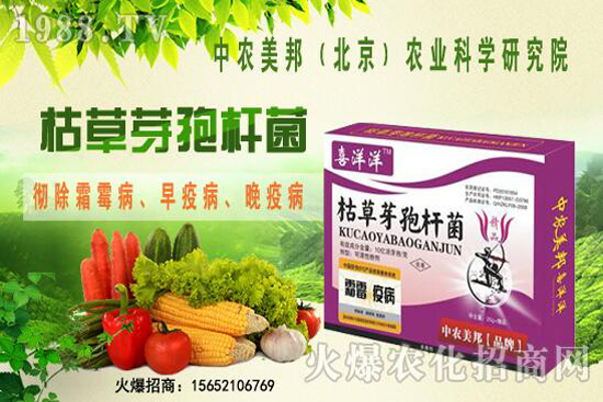 枯草芽孢桿菌治根腐病嗎，防治哪些土傳病害？防治對象有哪些？