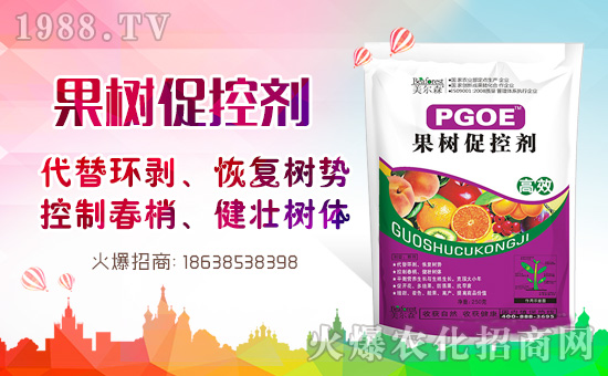 果樹巧用多效唑！效果翻倍沒問題！多效唑的作用與使用方法！