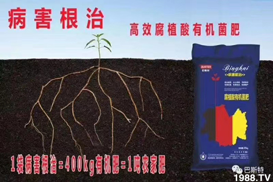     如何讓種植變得更輕松？一個套餐，全面配方，巴斯特大姜營養(yǎng)套餐方案！