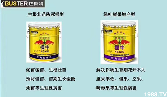     如何讓種植變得更輕松？一個套餐，全面配方，巴斯特大姜營養(yǎng)套餐方案！