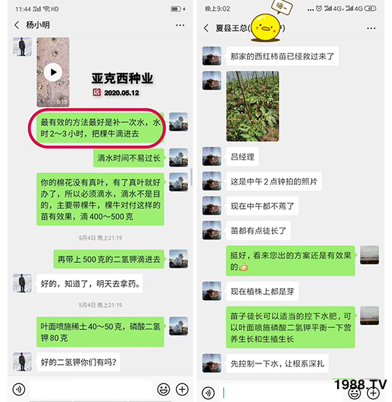     如何讓種植變得更輕松？一個套餐，全面配方，巴斯特大姜營養(yǎng)套餐方案！