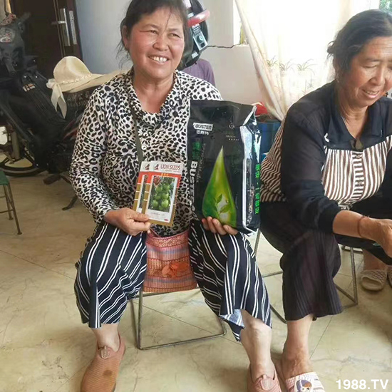     如何讓種植變得更輕松？一個套餐，全面配方，巴斯特大姜營養(yǎng)套餐方案！